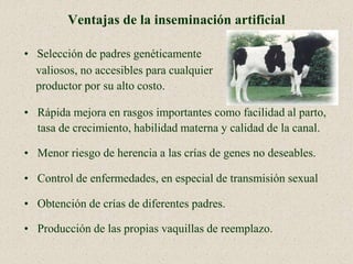 Infografía sobre inseminación artificial