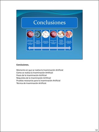 Conclusiones.

Momento en que se realiza la Inseminación Artificial
Como se realiza la Inseminación Artificial
Pasos de la Inseminación Artificial
Requisitos de la Inseminación Artificial
Pruebas necesarias para la inseminación Artificial
Técnica de Inseminación Artificial.




                                                       12
 
