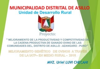 MVZ. Uriel LUVI CHECANI
MUNICIPALIDAD DISTRITAL DE ASILLO
Unidad de Desarrollo Rural
Proyecto:
" MEJORAMIENTO DE LA PRODUCTIVIDAD Y COMPETITIVIDAD DE
LA CADENA PRODUCTIVA DE GANADO OVINO DE LAS
COMUNIDADES DEL, DISTRITO DE ASILLO - AZANGARO - PUNO”
 
