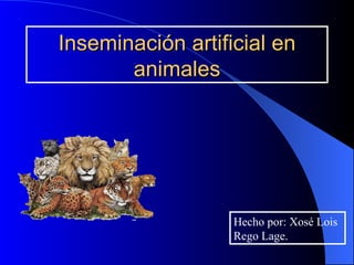 Inseminación artificial en animales Hecho por: Xosé Lois Rego Lage. 