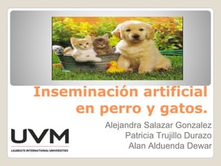 Inseminación artificial
en perro y gatos.
Alejandra Salazar Gonzalez
Patricia Trujillo Durazo
Alan Alduenda Dewar
 