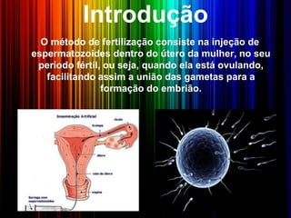 Introdução
O método de fertilização consiste na injeção de
espermatozoides dentro do útero da mulher, no seu
período fértil, ou seja, quando ela está ovulando,
facilitando assim a união das gametas para a
formação do embrião.
 