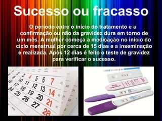 Sucesso ou fracasso
O período entre o início do tratamento e a
confirmação ou não da gravidez dura em torno de
um mês. A mulher começa a medicação no início do
ciclo menstrual por cerca de 15 dias e a inseminação
é realizada. Após 12 dias é feito o teste de gravidez
para verificar o sucesso.
 