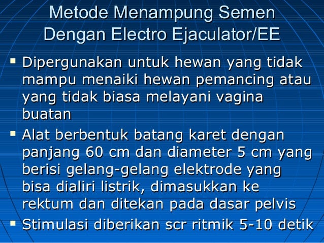 Inseminasi Buatan Pada Sapi