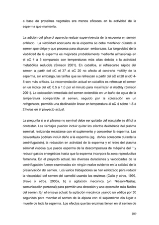 a base de proteínas vegetales era menos eficaces en la actividad de la
esperma que mantenía.
La adición del glicerol aparecía realzar supervivencia de la esperma en semen
enfriado. La viabilidad adecuada de la esperma se debe mantener durante el
semen que dirige y que procesa para alcanzar embarazos. La longevidad de la
viabilidad de la esperma es mejorada probablemente mediante almacenaje en
el oC 4 a 5 comparado con temperaturas más altas debido a la actividad
metabólica reducida (Simson 2001). En caballos, el refrescarse rápido del
semen a partir del oC el 37 al oC 20 no afecta al contrario motility de la
esperma, sin embargo, las tarifas que se refrescan a partir del oC el 20 al oC 4-
8 son más críticas. La recomendación actual en caballos es refrescar el semen
en un índice del oC 0.5 a 1.0 por el minuto para maximizar el motility (Simson
2001). La colocación inmediata del semen extendido en un baño de agua de la
temperatura comparable al semen, seguido por la colocación en un
refrigerador, permitió una declinación linear en temperatura al oC 4 sobre 1.5 a
2 horas en el proyecto actual.
La pregunta si o el plasma no seminal debe ser quitado del ejaculate es difícil a
contestar. Las ventajas pueden incluir quitar los efectos deletéreos del plasma
seminal, realzando mezclarse con el suplemento y concentrar la esperma. Las
desventajas podrían incluir daño a la esperma (eg. daños acrosome durante la
centrifugación), la reducción en actividad de la esperma y el retiro del plasma
seminal viscosa que puede esperma de la descompostura de máquina del `' y
reducir gastos energéticos hasta que la esperma incorpora la zona reproductiva
femenina. En el proyecto actual, las diversas duraciones y velocidades de la
centrifugación fueron examinadas sin ningún realce evidente en la calidad de la
preservación del semen. Los varios trabajadores se han esforzado para reducir
la viscosidad del semen del camelid usando las enzimas (Callo y otros. 1999,
Bravo y otros. 2000a, b) o agitación mecánica (un Niasari-Naslaji,
comunicación personal) para permitir una dirección y una extensión más fáciles
del semen. En el ensayo actual, la agitación mecánica usando un vórtice por 30
segundos para mezclar el semen de la alpaca con el suplemento dio lugar a
muerte de toda la esperma. Los efectos que las enzimas tienen en el semen de
109
 