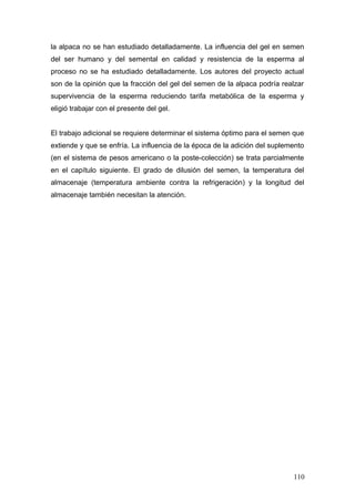 la alpaca no se han estudiado detalladamente. La influencia del gel en semen
del ser humano y del semental en calidad y resistencia de la esperma al
proceso no se ha estudiado detalladamente. Los autores del proyecto actual
son de la opinión que la fracción del gel del semen de la alpaca podría realzar
supervivencia de la esperma reduciendo tarifa metabólica de la esperma y
eligió trabajar con el presente del gel.
El trabajo adicional se requiere determinar el sistema óptimo para el semen que
extiende y que se enfría. La influencia de la época de la adición del suplemento
(en el sistema de pesos americano o la poste-colección) se trata parcialmente
en el capítulo siguiente. El grado de dilusión del semen, la temperatura del
almacenaje (temperatura ambiente contra la refrigeración) y la longitud del
almacenaje también necesitan la atención.
110
 