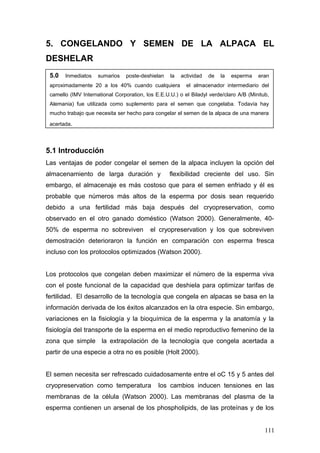 5. CONGELANDO Y SEMEN DE LA ALPACA EL
DESHELAR
5.1 Introducción
Las ventajas de poder congelar el semen de la alpaca incluyen la opción del
almacenamiento de larga duración y flexibilidad creciente del uso. Sin
embargo, el almacenaje es más costoso que para el semen enfriado y él es
probable que números más altos de la esperma por dosis sean requerido
debido a una fertilidad más baja después del cryopreservation, como
observado en el otro ganado doméstico (Watson 2000). Generalmente, 40-
50% de esperma no sobreviven el cryopreservation y los que sobreviven
demostración deterioraron la función en comparación con esperma fresca
incluso con los protocolos optimizados (Watson 2000).
Los protocolos que congelan deben maximizar el número de la esperma viva
con el poste funcional de la capacidad que deshiela para optimizar tarifas de
fertilidad. El desarrollo de la tecnología que congela en alpacas se basa en la
información derivada de los éxitos alcanzados en la otra especie. Sin embargo,
variaciones en la fisiología y la bioquímica de la esperma y la anatomía y la
fisiología del transporte de la esperma en el medio reproductivo femenino de la
zona que simple la extrapolación de la tecnología que congela acertada a
partir de una especie a otra no es posible (Holt 2000).
El semen necesita ser refrescado cuidadosamente entre el oC 15 y 5 antes del
cryopreservation como temperatura los cambios inducen tensiones en las
membranas de la célula (Watson 2000). Las membranas del plasma de la
esperma contienen un arsenal de los phospholipids, de las proteínas y de los
5.0 Inmediatos sumarios poste-deshielan la actividad de la esperma eran
aproximadamente 20 a los 40% cuando cualquiera el almacenador intermediario del
camello (IMV International Corporation, los E.E.U.U.) o el Biladyl verde/claro A/B (Minitub,
Alemania) fue utilizada como suplemento para el semen que congelaba. Todavía hay
mucho trabajo que necesita ser hecho para congelar el semen de la alpaca de una manera
acertada.
111
 