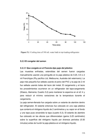 5.2.3 El congelar del semen
5.2.3.1 Que congela en el Francés-tipo paja del plástico
Las muestras enfriadas, extendidas del semen fueron cargadas
manualmente usando una jeringuilla en la paja plástica de 0.25, 0.5 o 2
ml Frenchtype (Pty pacífico Ltd, Melbourne, Australia del veterinario). La
paja más pequeña fue sellada usando el polvo del PVC y la paja de 2 ml
fue sellada usando bolas del lacre del metal. El cargamento y el lacre
los procedimientos ocurrieron en un refrigerador del tapa-cargamento
(Waeco, Alemania; Cuadro 5.2) para mantener la esperma en el oC 4 y
para reducir al mínimo variaciones de la temperatura durante el
cargamento.
La paja semen-llenada fue cargada sobre un estante de alambre dentro
del refrigerador. El estante entonces fue colocado en una caja plástica
que contenía el nitrógeno líquido de 2 centímetros y su vapor en el fondo
y una tapa puso encendido la tapa (cuadro 5.3). El estante de alambre
fue colocado en las alturas que diferenciaban (gama 2-25 centímetro)
sobre la superficie del nitrógeno líquido por diversos períodos (5-30
minutos) antes de hundir la paja plástica en el nitrógeno líquido.
116
 