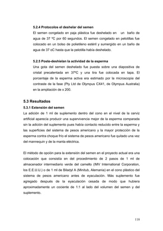 5.2.4 Protocolos el deshelar del semen
El semen congelado en paja plástica fue deshelado en un baño de
agua de 37 ºC por 60 segundos. El semen congelado en pelotillas fue
colocado en un bolso de polietileno estéril y sumergido en un baño de
agua de 37 oC hasta que la pelotilla había deshelado.
5.2.5 Poste-deshielan la actividad de la esperma
Una gota del semen deshelado fue puesta sobre una diapositiva de
cristal precalentada en 37ºC y una tira fue colocada en tapa. El
porcentaje de la esperma activa era estimado por la microscopia del
contraste de la fase (Pty Ltd de Olympus CX41, de Olympus Australia)
en la ampliación de x 200.
5.3 Resultados
5.3.1 Extensión del semen
La adición de 1 ml de suplemento dentro del cono en el nivel de la cerviz
artificial aparecía producir una supervivencia mejor de la esperma comparada
sin la adición del suplemento pues había contacto reducido entre la esperma y
las superficies del sistema de pesos americano y la mayor protección de la
esperma contra choque frío el sistema de pesos americano fue quitado una vez
del mannequin y de la manta eléctrica.
El método de opción para la extensión del semen en el proyecto actual era una
colocación que consistía en del procedimiento de 2 pasos de 1 ml de
almacenador intermediario verde del camello (IMV International Corporation,
los E.E.U.U.) o de 1 ml de Biladyl A (Minitub, Alemania) en el cono plástico del
sistema de pesos americano antes de eyaculación. Más suplemento fue
agregado después de la eyaculación cesada de modo que hubiera
aproximadamente un cociente de 1:1 al lado del volumen del semen y del
suplemento.
118
 