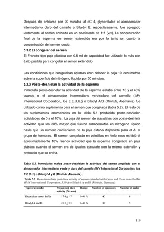 Después de enfriarse por 90 minutos al oC 4, glycerolated el almacenador
intermediario claro del camello o Biladyl B, respectivamente, fue agregado
lentamente al semen enfriado en un coeficiente de 1:1 (v/v). La concentración
final de la esperma en semen extendido era por lo tanto un cuarto la
concentración del semen crudo.
5.3.2 El congelar del semen
El Francés-tipo paja plástica con 0.5 ml de capacidad fue utilizado lo más con
éxito posible para congelar el semen extendido.
Las condiciones que congelaban óptimas eran colocar la paja 10 centímetros
sobre la superficie del nitrógeno líquido por 30 minutos.
5.3.3 Poste-deshielan la actividad de la esperma
Inmediato poste-deshelar la actividad de la esperma estaba entre 10 y el 40%
cuando o el almacenador intermediario verde/claro del camello (IMV
International Corporation, los E.E.U.U.) o Biladyl A/B (Minitub, Alemania) fue
utilizado como suplemento para el semen que congelaba (tabla 5.2). El resto de
los suplementos enumerados en la tabla 5.1 producida poste-deshielan
actividades de 0 a el 10%. La paja del semen de ejaculates con poste-deshiela
actividad que los 20% mayor que fueron almacenados en nitrógeno líquido
hasta que un número conveniente de la paja estaba disponible para el AI al
grupo de hembras. El semen congelado en pelotillas en hielo seco exhibió el
aproximadamente 10% menos actividad que la esperma congelada en paja
plástica cuando el semen era de iguales ejaculate con la misma extensión y
protocolo que se enfría.
Tabla 5.2. Inmediatos malos poste-deshielan la actividad del semen ampliada con el
almacenador intermediario verde y claro del camello (IMV International Corporation, los
E.E.U.U.) o Biladyl A y B (Minitub, Alemania).
119
 