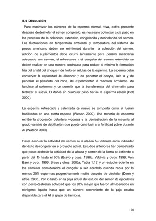 5.4 Discusión
Para maximizar los números de la esperma normal, viva, activa presente
después de deshelar el semen congelado, es necesario optimizar cada paso en
los procesos de la colección, extensión, congelando y deshelando del semen.
Las fluctuaciones en temperatura ambiental y temperatura del sistema de
pesos americano deben ser mimimised durante la colección del semen,
adición de suplementos debe ocurrir lentamente para permitir mezclarse
adecuado con semen, el refrescarse y el congelar del semen extendido se
deben realizar en una manera controlada para reducir al mínimo la formación
fría del cristal del choque y de hielo en células de la esperma. La esperma debe
conservar la capacidad de alcanzar y de penetrar el oocyte, lazo a y de
penetrar el pellucida del zona, de experimentar la reacción acrosome, de
fundirse al oolemma y de permitir que la transferencia del chromatin para
fertilizar el huevo. El daños en cualquier paso harían la esperma estéril (Holt
2000).
La esperma refrescada y calentada de nuevo se comporta como si fueran
habilitados en una cierta especie (Watson 2000). Una minoría de esperma
exhibe la progresión delantera vigorosa y la demostración de la mayoría al
grado variable de debilitación que puede contribuir a la fertilidad pobre durante
AI (Watson 2000).
Poste-deshelar la actividad del semen de la alpaca fue utilizado como indicador
del éxito de congelar en el proyecto actual. Estudios anteriores han demostrado
que poste-deshelar la actividad de la alpaca y semen de la llama se extiende a
partir del 15 hasta el 60% (Bravo y otros. 1996c, Valdivia y otros. 1999, Von
Baer y otros. 1999, Bravo y otros. 2000a; Tabla 1.12) y un estudio reciente en
los camellos considerados el congelar a ser acertado cuando había por lo
menos 20% espermas progresivamente motile después de deshelar (Deen y
otros. 2003). Por lo tanto, en la paja actual del estudio del semen de ejaculates
con poste-deshielan actividad que los 20% mayor que fueron almacenados en
nitrógeno líquido hasta que un número conveniente de la paja estaba
disponible para el AI al grupo de hembras.
120
 