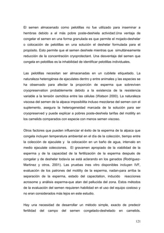 El semen almacenado como pelotillas no fue utilizado para inseminar a
hembras debido a el más pobre poste-deshiela actividad.Una ventaja de
congelar el semen en una forma granulada es que permite el mojado-deshelar
o colocación de pelotillas en una solución el deshelar formulada para el
propósito. Esto permite que el semen deshiele mientras que simultáneamente
reducción de la concentración cryoprotectant. Una desventaja del semen que
congela en pelotillas es la inhabilidad de identificar pelotillas individuales.
Las pelotillas necesitan ser almacenadas en un cubilete etiquetado. La
naturaleza heterogénea de ejaculates dentro y entre animales y las especies se
ha observado para afectar la proporción de esperma que sobreviven
cryopreservation probablemente debido a la existencia de la resistencia
variable a la tensión osmótica entre las células (Watson 2000). La naturaleza
viscosa del semen de la alpaca imposibilita incluso mezclarse del semen con el
suplemento, asegura la heterogeneidad marcada de la solución para ser
cryopreserved y puede explicar a pobres poste-deshiela tarifas del motility en
los camelids comparados con especie con menos semen viscoso.
Otros factores que pueden influenciar el éxito de la esperma de la alpaca que
congela incluyen temperatura ambiental en el día de la colección, tiempo entre
la colección de ejaculate y la colocación en un baño de agua, intervalo en
medio ejaculate colecciones. El gravamen apropiado de la viabilidad de la
esperma y de la capacidad de la fertilización de la esperma después de
congelar y de deshelar todavía se está aclarando en los ganados (Rodriguez-
Martinez y otros. 2001). Las pruebas ines vitro disponibles incluyen IVF,
evaluación de los patrones del motility de la esperma, nadan-para arriba la
separación de la esperma, estado del capacitation, inducido reacciones
acrosome y análisis esperma-que atan del pellucida del zona. Estos métodos
de la evaluación del semen requieren habilidad en el uso del equipo costoso y
no eran considerados más lejos en este estudio.
Hay una necesidad de desarrollar un método simple, exacto de predecir
fertilidad del campo del semen congelado-deshelado en camelids.
121
 