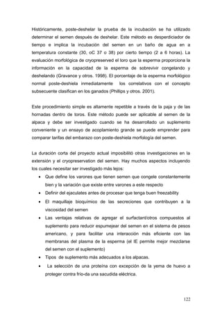 Históricamente, poste-deshelar la prueba de la incubación se ha utilizado
determinar el semen después de deshelar. Este método es desperdiciador de
tiempo e implica la incubación del semen en un baño de agua en a
temperatura constante (30, oC 37 o 38) por cierto tiempo (2 a 6 horas). La
evaluación morfológica de cryopreserved el toro que la esperma proporciona la
información en la capacidad de la esperma de sobrevivir congelando y
deshelando (Gravance y otros. 1998). El porcentaje de la esperma morfológico
normal poste-deshiela inmediatamente los correlativos con el concepto
subsecuente clasifican en los ganados (Phillips y otros. 2001).
Este procedimiento simple es altamente repetible a través de la paja y de las
hornadas dentro de toros. Este método puede ser aplicable al semen de la
alpaca y debe ser investigado cuando se ha desarrollado un suplemento
conveniente y un ensayo de acoplamiento grande se puede emprender para
comparar tarifas del embarazo con poste-deshiela morfología del semen.
La duración corta del proyecto actual imposibilitó otras investigaciones en la
extensión y el cryopreservation del semen. Hay muchos aspectos incluyendo
los cuales necesitar ser investigado más lejos:
• Que define los varones que tienen semen que congele constantemente
bien y la variación que existe entre varones a este respecto
• Definir del ejaculates antes de procesar que tenga buen freezability
• El maquillaje bioquímico de las secreciones que contribuyen a la
viscosidad del semen
• Las ventajas relativas de agregar el surfactant/otros compuestos al
suplemento para reducir espumejear del semen en el sistema de pesos
americano, y para facilitar una interacción más eficiente con las
membranas del plasma de la esperma (el IE permite mejor mezclarse
del semen con el suplemento)
• Tipos de suplemento más adecuados a los alpacas.
• La selección de una proteína con excepción de la yema de huevo a
proteger contra frío-da una sacudida eléctrica.
122
 