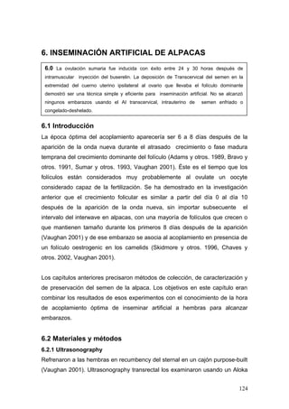 6. INSEMINACIÓN ARTIFICIAL DE ALPACAS
6.1 Introducción
La época óptima del acoplamiento aparecería ser 6 a 8 días después de la
aparición de la onda nueva durante el atrasado crecimiento o fase madura
temprana del crecimiento dominante del folículo (Adams y otros. 1989, Bravo y
otros. 1991, Sumar y otros. 1993, Vaughan 2001). Éste es el tiempo que los
folículos están considerados muy probablemente al ovulate un oocyte
considerado capaz de la fertilización. Se ha demostrado en la investigación
anterior que el crecimiento folicular es similar a partir del día 0 al día 10
después de la aparición de la onda nueva, sin importar subsecuente el
intervalo del interwave en alpacas, con una mayoría de folículos que crecen o
que mantienen tamaño durante los primeros 8 días después de la aparición
(Vaughan 2001) y de ese embarazo se asocia al acoplamiento en presencia de
un folículo oestrogenic en los camelids (Skidmore y otros. 1996, Chaves y
otros. 2002, Vaughan 2001).
Los capítulos anteriores precisaron métodos de colección, de caracterización y
de preservación del semen de la alpaca. Los objetivos en este capítulo eran
combinar los resultados de esos experimentos con el conocimiento de la hora
de acoplamiento óptima de inseminar artificial a hembras para alcanzar
embarazos.
6.2 Materiales y métodos
6.2.1 Ultrasonography
Refrenaron a las hembras en recumbency del sternal en un cajón purpose-built
(Vaughan 2001). Ultrasonography transrectal los examinaron usando un Aloka
6.0 La ovulación sumaria fue inducida con éxito entre 24 y 30 horas después de
intramuscular inyección del buserelin. La deposición de Transcervical del semen en la
extremidad del cuerno uterino ipsilateral al ovario que llevaba el folículo dominante
demostró ser una técnica simple y eficiente para inseminación artificial. No se alcanzó
ningunos embarazos usando el AI transcervical, intrauterino de semen enfriado o
congelado-deshelado.
124
 