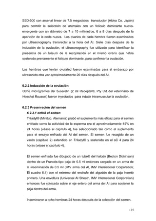 SSD-500 con arsenal linear de 7.5 megaciclos transductor (Aloka Co. Japón)
para permitir la selección de animales con un folículo dominante nuevo-
emergente con un diámetro de 7 a 10 milímetros, 6 a 8 días después de la
aparición de la onda nueva. Los ovarios de cada hembra fueron examinados
por ultrasonography transrectal a la hora del AI. Siete días después de la
inducción de la ovulación, el ultrasonography fue utilizado para identificar la
presencia de un luteum de la recopilación en el mismo ovario que había
sostenido previamente el folículo dominante, para confirmar la ovulación.
Las hembras que tenían ovulated fueron examinadas para el embarazo por
ultrasonido otra vez aproximadamente 20 días después del AI.
6.2.2 Inducción de la ovulación
Ocho microgramos del buserelin (2 ml Receptal®, Pty Ltd del veterinario de
Hoechst Roussel) fueron inyectados para inducir intramuscular la ovulación.
6.2.3 Preservación del semen
6.2.3.1 enfrió el semen
Triladyl® (Minitub, Alemania) probó el suplemento más eficaz para el semen
enfriado como la actividad de la esperma era el aproximadamente 45% en
24 horas (véase el capítulo 4), fue seleccionado tan como el suplemento
para el ensayo enfriado del AI del semen. El semen fue recogido de un
varón (capítulo 2) extendido en Triladyl® y sostenido en el oC 4 para 24
horas (véase el capítulo 4).
El semen enfriado fue dibujado de un tube® del halcón (Becton Dickinson)
dentro de un Francés-tipo paja de 0.5 ml entonces cargada en un arma de
la inseminación de 0.5 ml (IMV arma del AI, IMV International Corporation;
El cuadro 6.1) con el extremo del enchufe del algodón de la paja insertó
primero. Una envoltura (Universal AI Sheath, IMV International Corporation)
entonces fue colocada sobre el eje entero del arma del AI para sostener la
paja dentro del arma.
Inseminaron a ocho hembras 24 horas después de la colección del semen.
125
 