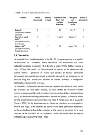 6.4 Discusión
La ovulación fue inducida con éxito entre 24 y 30 horas después de la inyección
intramuscular de buserelin. Estos resultados son constantes con otros
trabajadores (véase la sección 1.5.5; Bourke y otros. 1992b, 1995a, Huanca y
otros. 2001a). Deposición de Transcervical del semen en la extremidad del
cuerno uterino ipsilateral al ovario que llevaba el folículo dominante
demostrado ser una técnica simple y eficiente para el AI, sin embargo, no se
alcanzó ningunos embarazos usando el semen enfriado o congelado-
deshelado en la corriente proyecto.
La ovulación y la inseminación síncronas se requiere para alcanzar altas tarifas
del concepto. En una cierta especie, las altas tarifas del concepto ocurren
cuando la esperma está en el oviducto momentos antes de la ovulación (Hafez
1993). La fertilidad con cryopreserved el semen en ganado doméstico puede
ser alta proporcionando la inseminación se hace 4 horas antes de la ovulación
(Watson 2000). La fertilidad con semen fresco se mantiene sobre un período
mucho más largo. Si la esperma se coloca en la zona demasiado temprano,
perderán viabilidad antes de la ovulación, y si la esperma se coloca en la zona
después de la ovulación, el ovum pueden perder viabilidad antes de que la
fertilización pueda ocurrir (Hafez 1993).
128
 