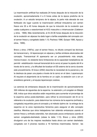 La inseminación artificial fue realizada 24 horas después de la inducción de la
ovulación, aproximadamente 4 a 6 horas antes de la época predicha de la
ovulación. A un estudio temprano de la alpaca, la parte más elevada de ova
fertilizado dio lugar cuando la inseminación artificial intrauterina con semen
fresco era 35 a 45 horas después de que la inducción de la ovulación que
usaba cualquiera a vasectomised el hCG masculino o intramuscular (Calderon
y otros. 1968). Más recientemente, el AI 24-36 horas después de la inducción
de la ovulación en alpacas ha dado lugar a tarifas aceptables del concepto con
el semen fresco y congelado (tabla 1.13; Pacheco 1996, Quispe 1996, Apaza y
otros. 1999).
Bravo y otros. (1997a), usar el semen fresco, no diluido comparó las técnicas
de transcervical y AI laparoscopic en alpacas y tarifas similares alcanzadas del
concepto. Transcervical AI aparecería ser un procedimiento más simple,
menos-invasor, no obstante tiene limitaciones de la capacidad rectal/pélvica de
permitir estabilización manual transrectal de la cerviz al pasar la pipeta del AI a
través de la cerviz, y la dificultad de localizar el OS externo de la cerviz durante
este procedimiento. El bravo (2002) describe la necesidad de la paciencia y de
la destreza de pasar una pipeta a través de la cerviz en el útero. Laparoscopic
AI requiere el alojamiento de la hembra en un cajón, la sedación con o sin un
anestésico general, y el equipo laparoscopic costoso.
La carencia de embarazos después de la inseminación de aproximadamente
300 millones de siguientes de la esperma la extensión y el congelar en Biladyl
A/B, indica que otros estudios están requeridos para aumentar el porcentaje de
la esperma activa poste-deshielan, para refinar la sincronización del AI en lo
referente a la ovulación, para determinar los números de la esperma (enfriada y
congelada) requeridos para el concepto y el método óptimo de la entrega de la
esperma en la zona reproductiva femenina para asegurar el alto concepto
clasifica. Mientras que otros trabajadores han obtenido embarazos usando el
semen fresco y enfriado extendido, han alcanzado pocos embarazos usando el
semen congelado-deshelado (véase la tabla 1.13). Bravo y otros (2000)
divulgaron uno de los mejores resultados hasta ahora con semen deshelado
congelado con 5 jóvenes nacidos a 19 hembras inseminadas. Semen las
129
 