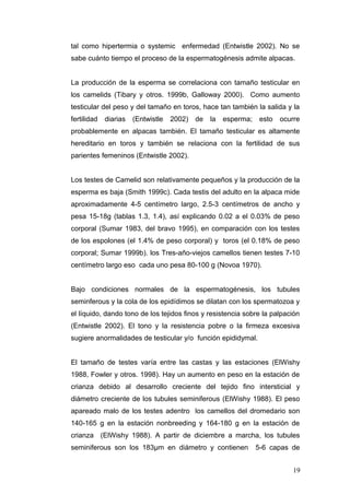 tal como hipertermia o systemic enfermedad (Entwistle 2002). No se
sabe cuánto tiempo el proceso de la espermatogénesis admite alpacas.
La producción de la esperma se correlaciona con tamaño testicular en
los camelids (Tibary y otros. 1999b, Galloway 2000). Como aumento
testicular del peso y del tamaño en toros, hace tan también la salida y la
fertilidad diarias (Entwistle 2002) de la esperma; esto ocurre
probablemente en alpacas también. El tamaño testicular es altamente
hereditario en toros y también se relaciona con la fertilidad de sus
parientes femeninos (Entwistle 2002).
Los testes de Camelid son relativamente pequeños y la producción de la
esperma es baja (Smith 1999c). Cada testis del adulto en la alpaca mide
aproximadamente 4-5 centímetro largo, 2.5-3 centímetros de ancho y
pesa 15-18g (tablas 1.3, 1.4), así explicando 0.02 a el 0.03% de peso
corporal (Sumar 1983, del bravo 1995), en comparación con los testes
de los espolones (el 1.4% de peso corporal) y toros (el 0.18% de peso
corporal; Sumar 1999b). los Tres-año-viejos camellos tienen testes 7-10
centímetro largo eso cada uno pesa 80-100 g (Novoa 1970).
Bajo condiciones normales de la espermatogénesis, los tubules
seminferous y la cola de los epidídimos se dilatan con los spermatozoa y
el líquido, dando tono de los tejidos finos y resistencia sobre la palpación
(Entwistle 2002). El tono y la resistencia pobre o la firmeza excesiva
sugiere anormalidades de testicular y/o función epididymal.
El tamaño de testes varía entre las castas y las estaciones (ElWishy
1988, Fowler y otros. 1998). Hay un aumento en peso en la estación de
crianza debido al desarrollo creciente del tejido fino intersticial y
diámetro creciente de los tubules seminiferous (ElWishy 1988). El peso
apareado malo de los testes adentro los camellos del dromedario son
140-165 g en la estación nonbreeding y 164-180 g en la estación de
crianza (ElWishy 1988). A partir de diciembre a marcha, los tubules
seminiferous son los 183μm en diámetro y contienen 5-6 capas de
19
 