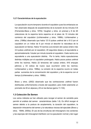 1.2.7 Características de la eyaculación
La eyaculación ocurre temprano durante el copulation pues los embarazos se
han observado después de acoplamientos de la duración de los minutos 5-8
(Fernandez-Baca y otros. 1970d, Vaughan y otros. en prensa) y 8 de 26
colecciones de la esperma tenía esperma en el plazo de 10 minutos del
comienzo del copulation (Lichtenwalner y otros. 1996b). Lichtenwalner y
otros. (1996a) observado que había 121.9 pulsos urethral del ± 61.0 por el
copulation en un índice de 6 por minuto al describir la naturaleza de la
eyaculación en llamas. Había 19 racimos (una tensión del cuerpo entero más
4-5 pulsos urethral) por el copulation, 20 segundos desea y el equivalente a
aproximadamente 1cluster por minuto durante el copulation. Cada racimo era
equivalente a una eyaculación distinta. Por lo tanto, había eyaculaciones
distintas múltiples por el copulation prolongado. Había pocos pulsos urethral
entre los racimos. Había 22 tensiones del cuerpo entero, 816 empujes
pélvicos y 53 coloca de nuevo (que ocurrieron entre los racimos;
Lichtenwalner y otros. 1996a). La emisión de la esperma ocurre en todas
partes aumentos de la concentración del copulation y de la esperma con el
tiempo (Lichtenwalner y otros. 1996b).
Bravo y otros. (2002) observado que las contracciones urethral fueron
distribuidas uniformemente a través del copulation, pero midió solamente un
promedio de 40 en alpacas y 63 en las llamas (gama 11-132).
1.3 Colección De Semen
Los varios métodos se han utilizado para recoger el semen de camelids para
permitir el análisis del semen características (tabla 1.8). Es difícil recoger el
semen debido a la postura de acoplamiento, la duración del copulation, la
deposición intrauterina del semen y la naturaleza viscosa del ejaculate (Bravo y
otros. 1994b, 2000a). El uso de las envolturas del intravaginal o los condones
y las esponjas del intravaginal interfieren con la eyaculación normal y dan lugar
32
 