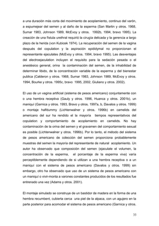 a una duración más corta del movimiento de acoplamiento, continuo del varón,
a espumejear del semen y al daño de la esperma (San Martin y otros. 1968,
Sumar 1983, Johnson 1989, McEvoy y otros. 1992b, 1994, bravo 1995). La
creación de una fístula urethral requirió la cirugía delicada y la gerencia a largo
plazo de la herida (von Kubicek 1974). La recuperación del semen de la vagina
después del copulation y la aspiración epididymal no proporcionan el
representante ejaculates (McEvoy y otros. 1994, bravo 1995). Las desventajas
del electroejaculation incluyen el requisito para la sedación pesada o el
anestésico general, orina la contaminación del semen, de la inhabilidad de
determinar libido, de la concentración variable de la esperma y del bienestar
publica (Calderon y otros. 1968, Sumar 1983, Johnson 1989, McEvoy y otros.
1994, Bourke y otros. 1995c, bravo 1995, 2002, Giuliano y otros. 2002).
El uso de un vagina artificial (sistema de pesos americano) conjuntamente con
o una hembra receptiva (Gauly y otros. 1996, Huanca y otros. 2001b), un
maniquí (Garnica y otros. 1993, Bravo y otros. 1997a, b, Davalos y otros. 1999)
o montaje halfdummy (Lichtenwalner y otros. 1996b) en camelids del
americano del sur ha rendido el la mayoría tiempos representativos del
copulation y comportamiento de acoplamiento en camelids. No hay
contaminación de la orina del semen y el gravamen del comportamiento sexual
es posible (Lichtenwalner y otros. 1996b). Por lo tanto, el método del sistema
de pesos americano de colección del semen proporciona probablemente
muestras del semen la mayoría del representante de natural acoplamiento. Un
autor ha observado que composición del semen (ejaculate el volumen, la
concentración de la esperma, el porcentaje de la esperma viva) varía
perceptiblemente dependiendo de si utilizan a una hembra receptiva o a un
maniquí con el sistema de pesos americano (Davalos y otros. 1999) sin
embargo, otro ha observado que uso de un sistema de pesos americano con
un maniquí o vivir-monta a varones constantes producidos de los resultados fue
entrenado una vez (Adams y otros. 2001).
El montaje simulado se construye de un bastidor de madera en la forma de una
hembra recumbent, cubierta cerca una piel de la alpaca, con un agujero en la
parte posterior para acomodar el sistema de pesos americano (Garnica y otros.
33
 