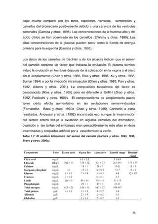 bajar mucho comparó con los toros, espolones, verracos, sementales y
camellos del dromedario posiblemente debido a una carencia de las vesículas
seminales (Garnica y otros. 1995). Las concentraciones de la fructosa alta y del
ácido cítrico se han observado en los camellos (ElWishy y otros. 1988). Las
altas concentraciones de la glucosa pueden servir como la fuente de energía
primaria para la esperma (Garnica y otros. 1995).
Los datos de los camellos de Bactrian y de los alpacas indican que el semen
del camelid contiene un factor que induzca la ovulación. El plasma seminal
indujo la ovulación en hembras después de la colocación en la vagina o el útero
sin el acoplamiento (Chen y otros. 1985, Rios y otros. 1985, Xu y otros. 1985,
Sumar 1994) o por la inyección intramuscular (Chen y otros. 1985, Pan y otros.
1992, Adams y otros. 2001). La composición bioquímica del factor es
desconocido (Rios y otros. 1985) pero es diferente a GnRH (Zhao y otros.
1992, Paolicchi y otros. 1999). El comportamiento de acoplamiento puede
tener cierto efecto aumentativo en las ovulaciones semen-inducidas
(Fernandez- Baca y otros. 1970d, Chen y otros. 1985). Contrario a estos
resultados, Anouassi y otros. (1992) encontrado eso aunque la inseminación
del semen entero indujo la ovulación en algunos camellos del dromedario,
ovulación y las tarifas del embarazo eran perceptiblemente más altas en ésas
inseminadas y acopladas artificial por a vasectomised a varón.
Tabla 1.7. El análisis bioquímico del semen del camelid (Garnica y otros. 1993, 1995,
Bravo y otros. 2000a).
36
 