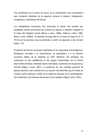 Tris combinado con la yema de huevo es la combinación más prometedora
para mantener viabilidad de la esperma durante la dilusión, refrigeración,
congelando y deshelando del semen.
Los trabajadores numerosos han procurado el semen del camelid que
congelaba usando una dilusión de 2 pasos con glicerol, y retardan congelar en
el vapor del nitrógeno líquido (Bravo y otros. 1996c, Valdivia y otros. 1999,
Bravo y otros. 2000a). El deshelar de paja está en un baño de agua en el °C
37-40 por los períodos que se extienden a partir de segundos a los minutos
(tabla 1.12).
El plasma seminal es al parecer importante en las respuestas inmunológicas y
fisiológicas normales a la inseminación, al capacitation y a la reacción
acrosome (Rigby de la esperma en 2001 eléctrico). Sin embargo, los
embarazos se han establecido en las yeguas inseminadas con el semen
plasma-libre enfriado, extendido (leche desnatada, suplemento de la glucosa) y
seminal (Rigby y otros. 2001). La presencia de una cantidad pequeña de
plasma seminal o de la adición de una solución del electrólito (eg. El medio de
Tyrode) podría optimizar motility de la esperma después de la centrifugación,
de la extensión y de enfriarse del semen en los caballos (Rigby y otros. 2001).
52
 