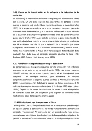 1.5.2 Época de la inseminación en lo referente a la inducción de la
ovulación
La ovulación y la inseminación síncronas se requiere para alcanzar altas tarifas
del concepto. En una cierta especie, las altas tarifas del concepto ocurren
cuando la esperma está en el oviducto momentos antes de la ovulación (Hafez
1993). Si la esperma se coloca en la zona demasiado temprano, perderán
viabilidad antes de la ovulación, y si la esperma se coloca en la zona después
de la ovulación, el ovum pueden perder viabilidad antes de que la fertilización
pueda ocurrir (Hafez 1993). A un estudio temprano, la parte más elevada de
ova fertilizado dio lugar cuando la inseminación artificial intrauterina en alpacas
era 35 a 45 horas después de que la inducción de la ovulación que usaba
cualquiera a vasectomised el hCG masculino o intramuscular (Calderon y otros.
1968). Más recientemente, el AI que 24-36 horas después de la inducción de la
ovulación han dado lugar al concepto aceptable clasifica (la tabla 1.13;
Pacheco 1996, Quispe 1996, Apaza y otros. 1999).
1.5.3 Números de la esperma requeridos por dosis del IA
La concentración de la esperma requerida para la fertilización y el embarazo
acertados no se sabe en los camelids (marrón 2000). Las ovejas requieren
120-125 millones de espermas frescas usando el AI transcervical para
aceptable el concepto clasifica, pero solamente 20 millones
congelados/deshelaron la esperma cuando se utiliza el AI intrauterino (marrón
2000). Los embarazos han dado lugar a alpacas y a llamas inseminando 8-26
millones de espermas transcervically (la tabla 1.13; Quispe 1996, Aller y otros.
1999b). Deposición del semen de Intracornual del semen durante el copulation
en camelids puede ser una adaptación para superar las concentraciones
relativamente bajas de la esperma (marrón 2000).
1.5.4 Método de entregar la esperma en el útero
Bravo y otros. (1997a) comparó las técnicas del AI transcervical y laparoscopic
en alpacas usando el semen fresco, no diluido y alcanzó tarifas similares del
concepto. Transcervical AI aparecería ser un procedimiento más simple,
menos-invasor, no obstante tiene limitaciones de la capacidad rectal/pélvica de
permitir la estabilización manual transrectal de la cerviz al pasar la pipeta del AI
58
 