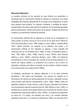 Resumen Ejecutivo
La puntería primaria de los estudios en este informe era desarrollar la
tecnología para la inseminación artificial en alpacas en asociación con tarifas
aceptables del embarazo después del AI. El proyecto fue analizado en 5 pasos
para alcanzar esta puntería: La colección constante y confiable de semen,
caracterización del semen para permitir la selección de conveniente ejaculates
para la preservación, enfriarse del semen de la alpaca, congelar del semen de
la alpaca y la inseminación artificial de hembras.
La inseminación artificial (AI) en alpacas es el tema de la investigación en
varios países. El primer procura en el AI ocurrió en los años 60 en SACO en
Perú (Fernandez-Baca y otros. 1966, Calderon y otros. 1968) y camellos (Elliot
1961). Desde entonces, los estudios en la colección del semen y la
inseminación artificial se han realizado en alpacas y otros camelids del
americano del sur en Australia (Gunn 1999), el norte y Suramérica (Bravo y
otros. 1997, Ratto y otros. 1999b, Huanca y otros. 2001b), Gran Bretaña
(McEvoy y otros. 1992b) y Alemania (Burgel y otros. 1999). Los esfuerzos
concentrados en el AI en camellos han ocurrido en los 20 años pasados en un
intento por mejorar calidad y la producción de la leche y de la carne, en
respuesta a estacas más altas en competir con de camello e interés creciente
en la conservación de la casta (Purohit 1999a).
La fisiología reproductiva de alpacas diferencia a la de otros animales
domésticos y del restos mal entendidos. Los varones se acoplan en el
recumbency del sternal por aproximadamente 20 minutos y ejaculate muchas
veces durante este período (Lichtenwalner y otros. 1996a, 1996b). Cada uno
ejaculate consiste en el bajo volumen, semen de gran viscosidad que contiene
una concentración baja de la esperma (Sumar 1983, McEvoy y otros. 1994). La
fertilidad de los varones de la alpaca declina con el aumento de números de los
acoplamientos consecutivos (Bravo y otros. 1997b). La longitud de la gestación
es cerca de 11.5 meses, los gemelos son raros y los varones alcanzan
pubertad a partir de la 1 a 3 años de la edad (bravo 1994). Los intervalos de la
6
 