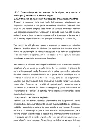 2.3.3 Entrenamiento de los varones de la alpaca para montar al
mannequin y para utilizar el artificial vagina
2.3.3.1: Método 1 de machos que han acoplado previamente a hembras
Colocaron al mannequin en la yarda media de tres usados rutinariamente para
acoplarse y adyacente a una yarda de hembras receptivas. Colocaron a un
varón y a una hembra receptiva cada uno en las 2 yardas externas y permitido
para acoplarse naturalmente. Funcionaron al aprendiz-varón más allá del grupo
de hembras receptivas para estimularlo sexual. A lo después colocaron en la
yarda media y se permitieron montar y acoplar al mannequin (Cuadro 2.6).
Este método fue utilizado para recoger el semen de los varones que realizaban
servicios naturales regulares mientras que aparecía que bastante estímulo
sexual fue proveído por las hembras receptivas y los pares de acoplamiento
cerca para motivar al aprendiz-varón para acoplar al mannequin. La respuesta
de estos varones estaba generalmente inmediato.
Para entrenar a un varón para acoplar al mannequin en ausencia de hembras
receptivas y/o los pares de acoplamiento de los alpacas, el proceso del
entrenamiento descrito arriba fueron repetidos varias veces sobre varios días.
entonces colocaron al aprendiz-varón en la yarda con el mannequin con las
hembras receptivas en un adyacente yarda, pero sin los acoplamientos
naturales que ocurren cerca. Este proceso fue repetido varias veces encima
varios días. Entonces se permitió al aprendiz-varón acoplarse con el
mannequin en ausencia de hembras receptivas y pares naturalmente de
acoplamiento. Se prohibió al aprendiz-varón ninguna acoplamientos natural
durante el entrenamiento.
2.3.3.2: Método 2 de machos virginales
Varones que no habían realizado previamente un acoplamiento natural
diferenciado en su buena voluntad de acoplar maniqui debido a las variaciones
en libido y conocimiento natural de cómo acoplar a una hembra. Era posible
entrenar a un varón virginal para acoplar a un mannequin permitiendo que él
observe a varón experimentado el acoplar de a mannequin como en el método
1 y después permitir al varón virginal en la yarda con el mannequin después
quitar al varón experimentado. Sin embargo, no todos los varones virginales
71
 