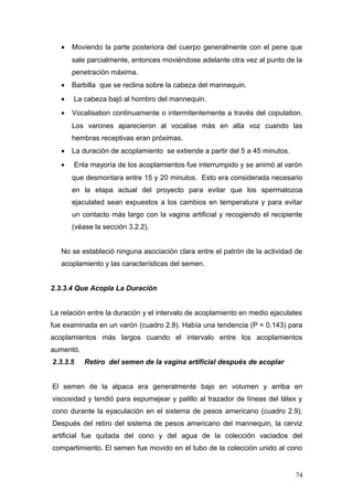 • Moviendo la parte posteriora del cuerpo generalmente con el pene que
sale parcialmente, entonces moviéndose adelante otra vez al punto de la
penetración máxima.
• Barbilla que se reclina sobre la cabeza del mannequin.
• La cabeza bajó al hombro del mannequin.
• Vocalisation continuamente o intermitentemente a través del copulation.
Los varones aparecieron al vocalise más en alta voz cuando las
hembras receptivas eran próximas.
• La duración de acoplamiento se extiende a partir del 5 a 45 minutos.
• Enla mayoría de los acoplamientos fue interrumpido y se animó al varón
que desmontara entre 15 y 20 minutos. Esto era considerada necesario
en la etapa actual del proyecto para evitar que los spermatozoa
ejaculated sean expuestos a los cambios en temperatura y para evitar
un contacto más largo con la vagina artificial y recogiendo el recipiente
(véase la sección 3.2.2).
No se estableció ninguna asociación clara entre el patrón de la actividad de
acoplamiento y las características del semen.
2.3.3.4 Que Acopla La Duración
La relación entre la duración y el intervalo de acoplamiento en medio ejaculates
fue examinada en un varón (cuadro 2.8). Había una tendencia (P = 0.143) para
acoplamientos más largos cuando el intervalo entre los acoplamientos
aumentó.
2.3.3.5 Retiro del semen de la vagina artificial después de acoplar
El semen de la alpaca era generalmente bajo en volumen y arriba en
viscosidad y tendió para espumejear y palillo al trazador de líneas del látex y
cono durante la eyaculación en el sistema de pesos americano (cuadro 2.9).
Después del retiro del sistema de pesos americano del mannequin, la cerviz
artificial fue quitada del cono y del agua de la colección vaciados del
compartimiento. El semen fue movido en el tubo de la colección unido al cono
74
 
