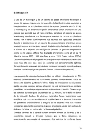 2.4 Discusión
El uso de un mannequin y de un sistema de pesos americano de recoger el
semen de alpacas requirió una comprensión de las idiosincrasias asociadas al
comportamiento de acoplamiento natural de alpacas (véase la sección 1.2.4).
El mannequin y los sistemas de pesos americanos fueron preparados de una
manera que permitió que el varón montara, penetrara el sistema de pesos
americano y ejaculate de una forma que se asemeja de cerca a acoplamiento
natural. Por lo tanto razonablemente fue asumido que ejaculates producido
durante el acoplamiento en un sistema de pesos americano era similar a ésos
producidos en un acoplamiento natural. Cada tentativa fue hecha de maximizar
el número de la esperma viva recogido de varones. La gama de temperaturas
óptima de la vagina artificial fue divulgada previamente como 38 al oC 45
(Garnica y otros. 1993, 1995, Von Baer y otros. 1999, Bravo y otros. 2000a).
Las observaciones en el proyecto actual sugieren que la temperatura sea una
poco más alta que esto para los patrones del comportamiento óptimos.
Semejantemente una cerviz simulada se considera necesaria, encontrando eso
conviene con la investigación peruana (Sumar, comunicación personal).
Los conos de la colección hechos de látex se utilizan rutinariamente en AVs
diseñado para el domestic del non-camelid ganado. Aunque el látex puede ser
tóxico a la esperma (Critchlow y otros. 1989), la eyaculación es un proceso
rápido en estas especies así que el semen no está generalmente en contacto
con el látex para más que algunos minutos después de colección. Sin embargo,
los camelids ejaculate para un promedio de 20 minutos, por lo tanto los conos
de la colección hechos de diversos materiales fueron examinados para
establecer qué cono era lo más menos posible tóxico a la esperma. Los conos
del polietileno proporcionaron la mayoría de la esperma viva. Los varones
penetrarían solamente un sistema de pesos americano cabido con un trazador
de líneas del látex, no un trazador de líneas del polietileno.
Diversos varones de la alpaca exhiben diversos niveles de la libido y de la
experiencia sexual, y diversos métodos por lo tanto requeridos de
entrenamiento para acoplar al mannequin. Dos métodos de confianza fueron
76
 