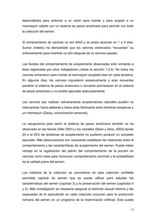 desarrollados para entrenar a un varón para montar y para acoplar a un
mannequin cabido con un sistema de pesos americano para permitir con éxito
la colección del semen.
El entrenamiento de varones no era difícil y se podía alcanzar en 1 a 5 días.
Sumar (inédito) ha demostrado que los varones entrenados “recuerdan” su
entrenamiento para mientras un año después de su servicio pasado.
Las facetas del comportamiento de acoplamiento observadas eran similares a
ésas registradas por otros trabajadores (véase la sección 1.2.4). No todos los
varones entrenaron para montar al mannequin acoplado bien en cada tentativa.
En algunos días, los varones inquietaron excesivamente y eran renuentes
penetrar el sistema de pesos americano o renuente permanecer en el sistema
de pesos americano y no podido ejaculate adecuadamente.
Los varones que realizan rutinariamente acoplamientos naturales pueden no
intercambiar hacia adelante y hacia atrás fácilmente entre hembras receptivas y
un mannequin (Gauly, comunicación personal).
La repugnancia para servir el sistema de pesos americano también se ha
observado en las llamas (Aller 2001) y los camellos (Deen y otros. 2003) donde
20 a el 25% de tentativas de acoplamiento no pudieron producir un completo
ejaculate. Más observaciones son necesarias establecer las relaciones entre el
comportamiento y las características de acoplamiento del semen. Puede haber
ventaja en la registración del patrón del comportamiento de la porción en
varones como base para reconocer comportamiento anormal o la probabilidad
de la calidad pobre del semen.
Los métodos de la colección se convirtieron en esta colección confiable
permitida capítulo de semen que se puede utilizar para estudiar las
características del semen (capítulo 3) y la preservación del semen (capítulos 4
y 5). Más investigación es necesaria asegurar el estímulo sexual máximo y las
respuestas de la eyaculación en cada colección procuran para la producción
rutinaria del semen en un programa de la inseminación artificial. Esto puede
77
 