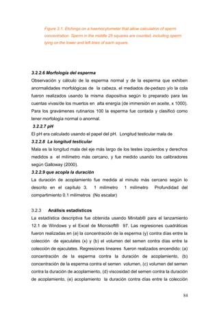 Figure 3.1. Etchings on a haemocytometer that allow calculation of sperm
concentration. Sperm in the middle 25 squares are counted, including sperm
lying on the lower and left lines of each square.
3.2.2.6 Morfología del esperma
Observación y cálculo de la esperma normal y de la esperma que exhiben
anormalidades morfológicas de la cabeza, el mediados de-pedazo y/o la cola
fueron realizados usando la misma diapositiva según lo preparado para las
cuentas vivas/de los muertos en alta energía (de immersión en aceite, x 1000).
Para los gravámenes rutinarios 100 la esperma fue contada y clasificó como
tener morfología normal o anormal.
3.2.2.7 pH
El pH era calculado usando el papel del pH. Longitud testicular mala de
3.2.2.8 La longitud testicular
Mala es la longitud mala del eje más largo de los testes izquierdos y derechos
medidos a el milímetro más cercano, y fue medido usando los calibradores
según Galloway (2000).
3.2.2.9 que acopla la duración
La duración de acoplamiento fue medida al minuto más cercano según lo
descrito en el capítulo 3. 1 milímetro 1 milímetro Profundidad del
compartimiento 0.1 milímetros (No escalar)
3.2.3 Análisis estadísticos
La estadística descriptiva fue obtenida usando Minitab® para el lanzamiento
12.1 de Windows y el Excel de Microsoft® 97. Las regresiones cuadráticas
fueron realizadas en (a) la concentración de la esperma (y) contra días entre la
colección de ejaculates (x) y (b) el volumen del semen contra días entre la
colección de ejaculates. Regresiones lineares fueron realizados encendido: (a)
concentración de la esperma contra la duración de acoplamiento, (b)
concentración de la esperma contra el semen volumen, (c) volumen del semen
contra la duración de acoplamiento, (d) viscosidad del semen contra la duración
de acoplamiento, (e) acoplamiento la duración contra días entre la colección
84
 