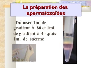 La préparation desLa préparation des
spermatozoïdesspermatozoïdes
Déposer 1ml de
gradient à 80 et 1ml
de gradient à 40 ,puis
1ml de sperme
 