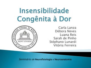 Carla Lanza
Débora Neves
Luana Reis
Sarah de Pinho
Stéphano Lunardi
Vitória Ferreira
Seminário de Neurofisiologia e Neuroanatomia
 