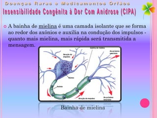    A bainha de mielina é uma camada isolante que se forma
    ao redor dos axônios e auxilia na condução dos impulsos -
    quanto mais mielina, mais rápida será transmitida a
    mensagem.




                         Bainha de mielina
 
