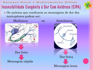    Os axônios que conduzem as mensagens de dor dos
    nociceptores podem ser:
         Mielínicos         ou     Amielínicos,




         Dor forte
                                      Dor fraca
    Mensagem rápida
                                  Mensagem lenta
 