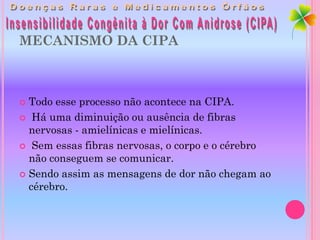 MECANISMO DA CIPA



 Todo esse processo não acontece na CIPA.
 Há uma diminuição ou ausência de fibras
  nervosas - amielínicas e mielínicas.
 Sem essas fibras nervosas, o corpo e o cérebro
  não conseguem se comunicar.
 Sendo assim as mensagens de dor não chegam ao
  cérebro.
 