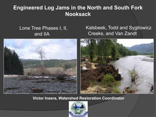 Engineered Log Jams in the North and South Fork
Nooksack
Lone Tree Phases I, II,
and IIA
Kalsbeek, Todd and Sygitowicz
Creeks, and Van Zandt
Victor Insera, Watershed Restoration Coordinator
 