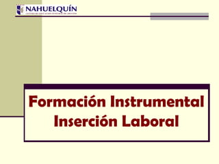 Formación Instrumental Inserción Laboral 