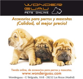 Wonderguau Accesorios para perros y mascotas