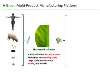 A Green Multi-Product Manufacturing Platform




                   Harvested tobacco
              > 90% reduction in capital costs
              Reduction in operating costs
              Large scale production in
              weeks, not months
 