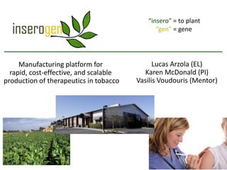 “insero” = to plant
                                              ”gen” = gene




     Manufacturing platform for               Lucas Arzola (EL)
  rapid, cost-effective, and scalable      Karen McDonald (PI)
production of therapeutics in tobacco   Vasilis Voudouris (Mentor)
 