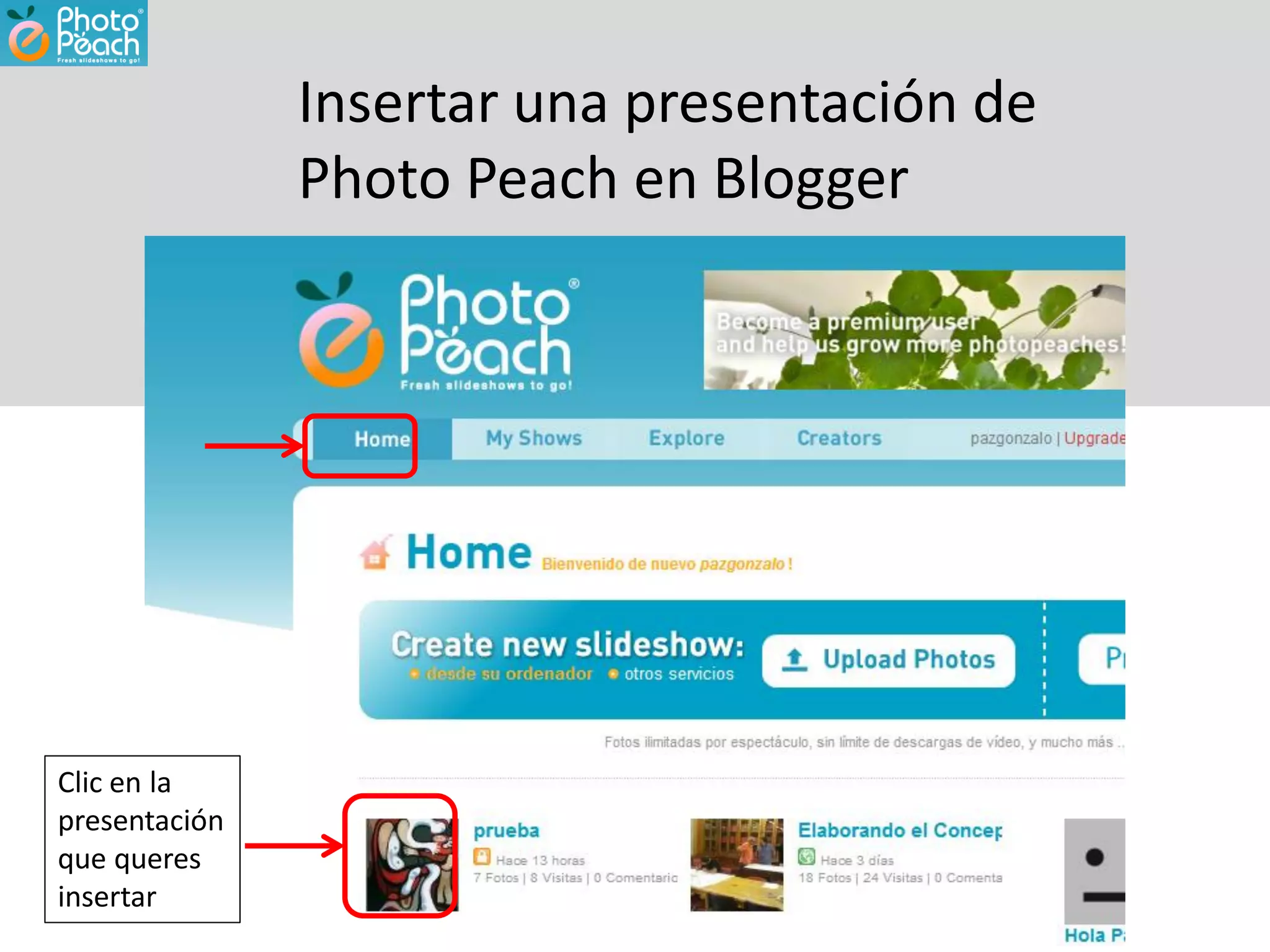 Insertar una presentación de
               Photo Peach en Blogger




Clic en la
presentación
que queres
insertar
 