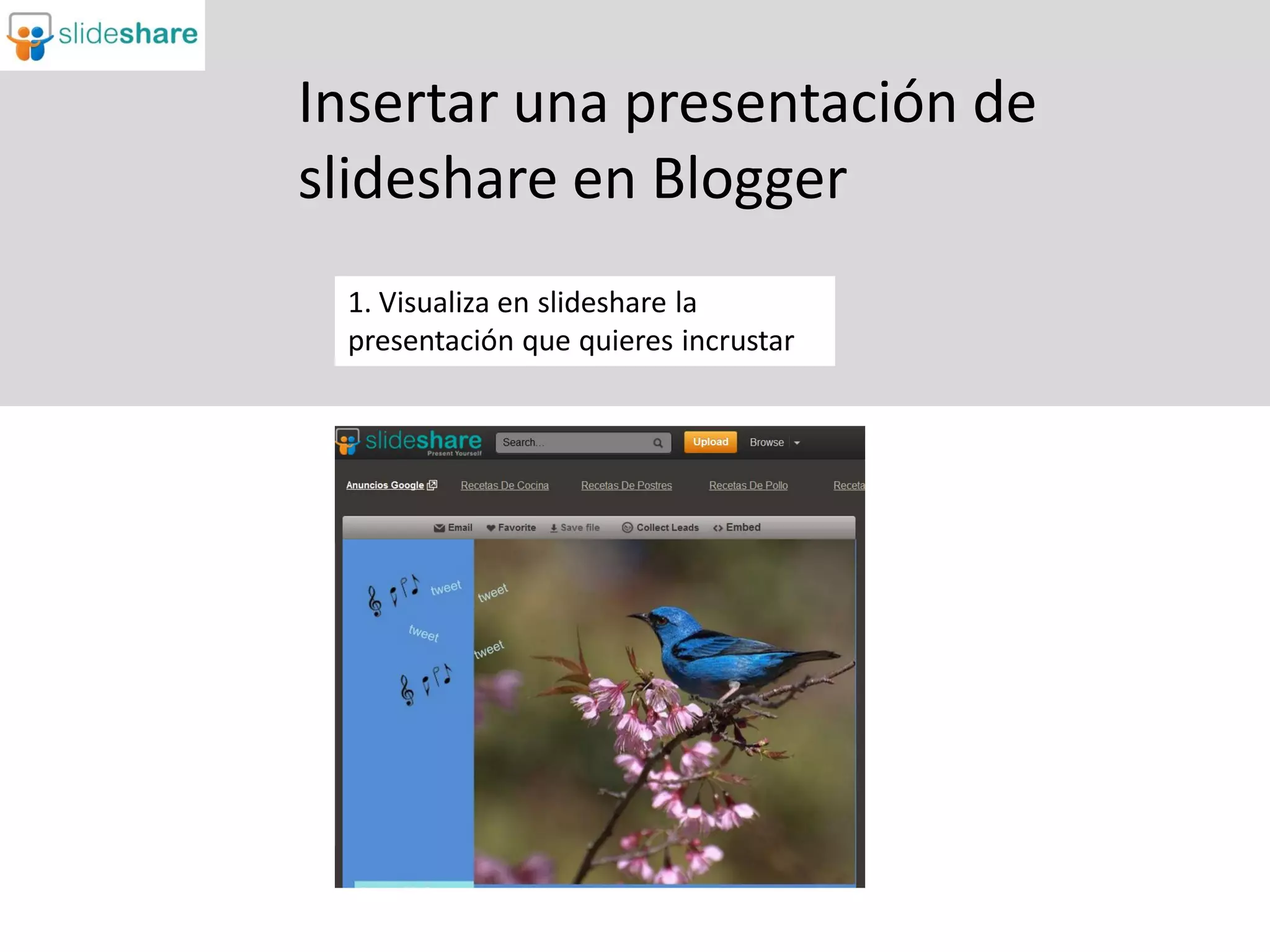 Insertar una presentación de
slideshare en Blogger
 1. Visualiza en slideshare la
 presentación que quieres incrustar
 