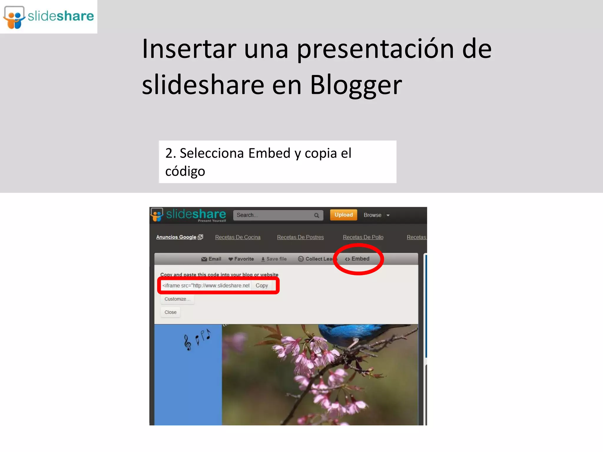 Insertar una presentación de
slideshare en Blogger

 2. Selecciona Embed y copia el
 código
 
