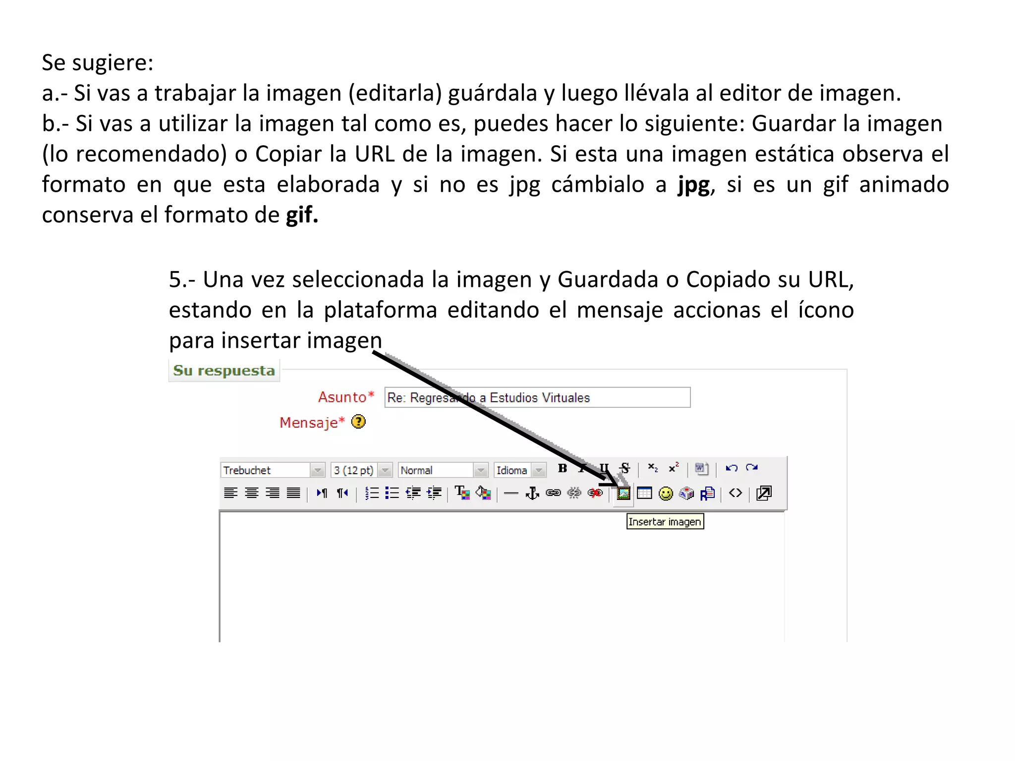 Se sugiere: a.- Si vas a trabajar la imagen (editarla) guárdala y luego llévala al editor de imagen. b.- Si vas a utilizar la imagen tal como es, puedes hacer lo siguiente: Guardar la imagen  (lo recomendado) o Copiar la URL de la imagen. Si esta una imagen estática observa el formato en que esta elaborada y si no es jpg cámbialo a  jpg , si es un gif animado conserva el formato de  gif. 5.- Una vez seleccionada la imagen y Guardada o Copiado su URL, estando en la plataforma editando el mensaje accionas el ícono para insertar imagen 