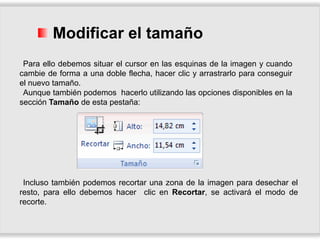 Modificar el tamaño
Para ello debemos situar el cursor en las esquinas de la imagen y cuando
cambie de forma a una doble flecha, hacer clic y arrastrarlo para conseguir
el nuevo tamaño.
Aunque también podemos hacerlo utilizando las opciones disponibles en la
sección Tamaño de esta pestaña:
Incluso también podemos recortar una zona de la imagen para desechar el
resto, para ello debemos hacer clic en Recortar, se activará el modo de
recorte.