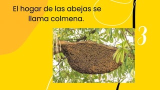 3
El hogar de las abejas se
llama colmena.
 