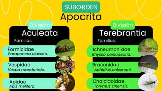 APIS MELLIFERA. | PDF